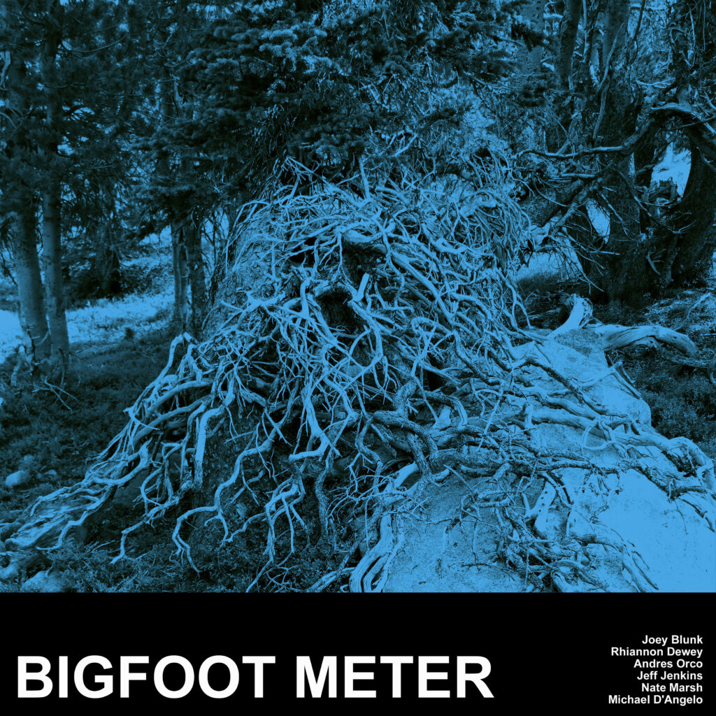 Bigfoot Meter album